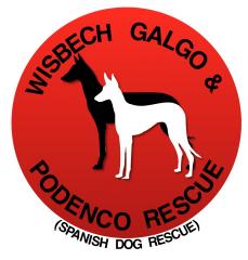 Wisbech Galgo and Podenco Rescue